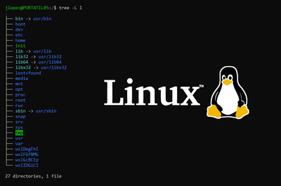深入理解 Linux 文件系统：你以为删除了文件，空间却没有释放？