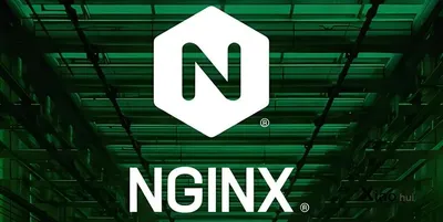 Nginx 报错码解析与解决方案